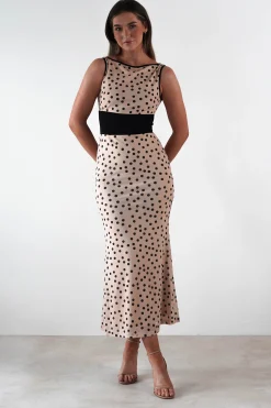 Bianca Polka Dot Mesh Maxi Dress | Beige
