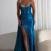 Pranvera Embellished Luxurious Gown | Peacock