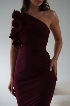 Sydney Bodycon Maxi Dress | Wine
